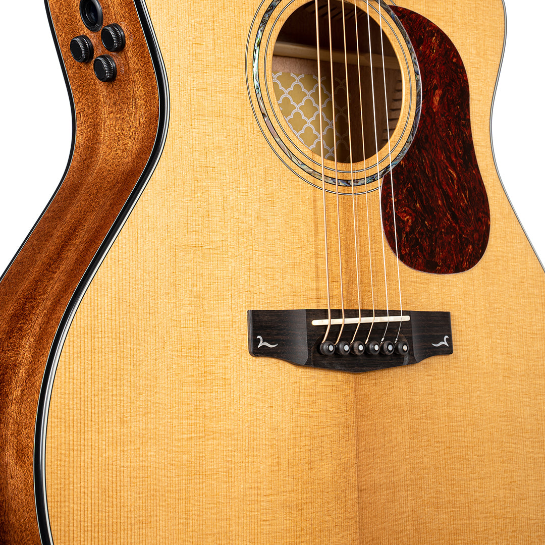 Cort Gold-A6 Acoustic Guitar